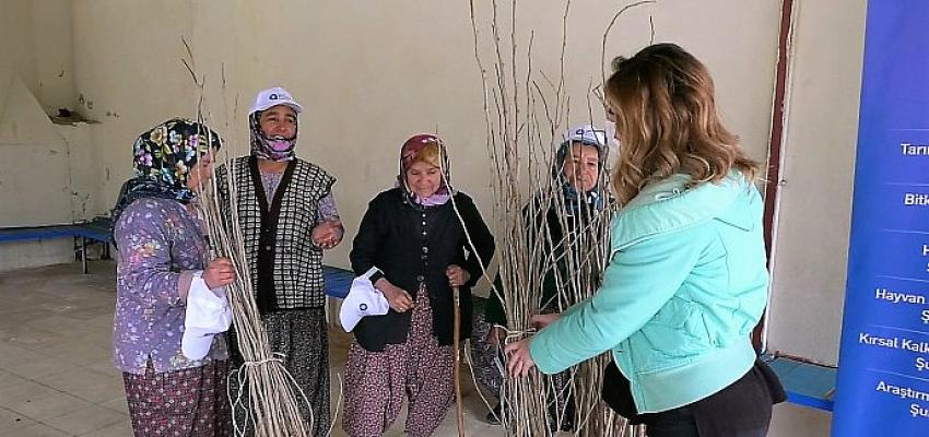 Büyükşehir’den ipekböceği yetiştiricilerine destek Alanya Alacami Mahallesi’nde dutfidanı dağıtıldı