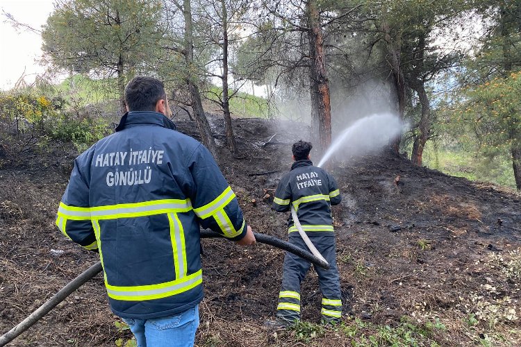 Hatay’daki orman yangını gönüllü itfaiyeciler söndürdü